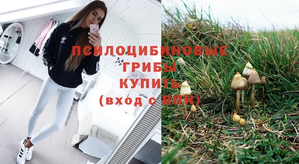 меф Алексин