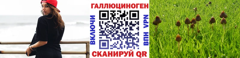 Купить где  Балабаново  Псилоцибиновые грибы ЛСД 